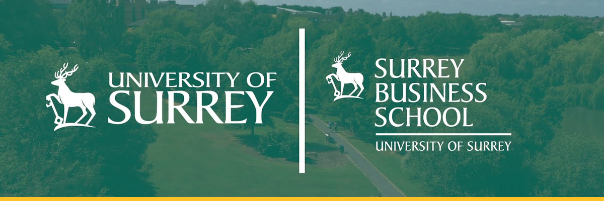 University of Surrey and Surrey Business School